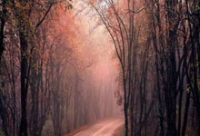 欧国联强队迎来关键战：对手实力不容小觑