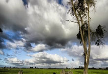 丹麦女足甲级联赛揭幕赛：哥本哈根队旗开得胜，开启新赛季的精彩篇章