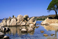 丹麦女足甲级联赛揭幕，哥本哈根队首战告捷