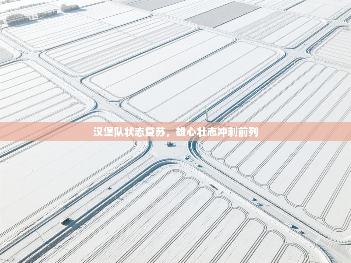 汉堡队状态复苏，雄心壮志冲刺前列