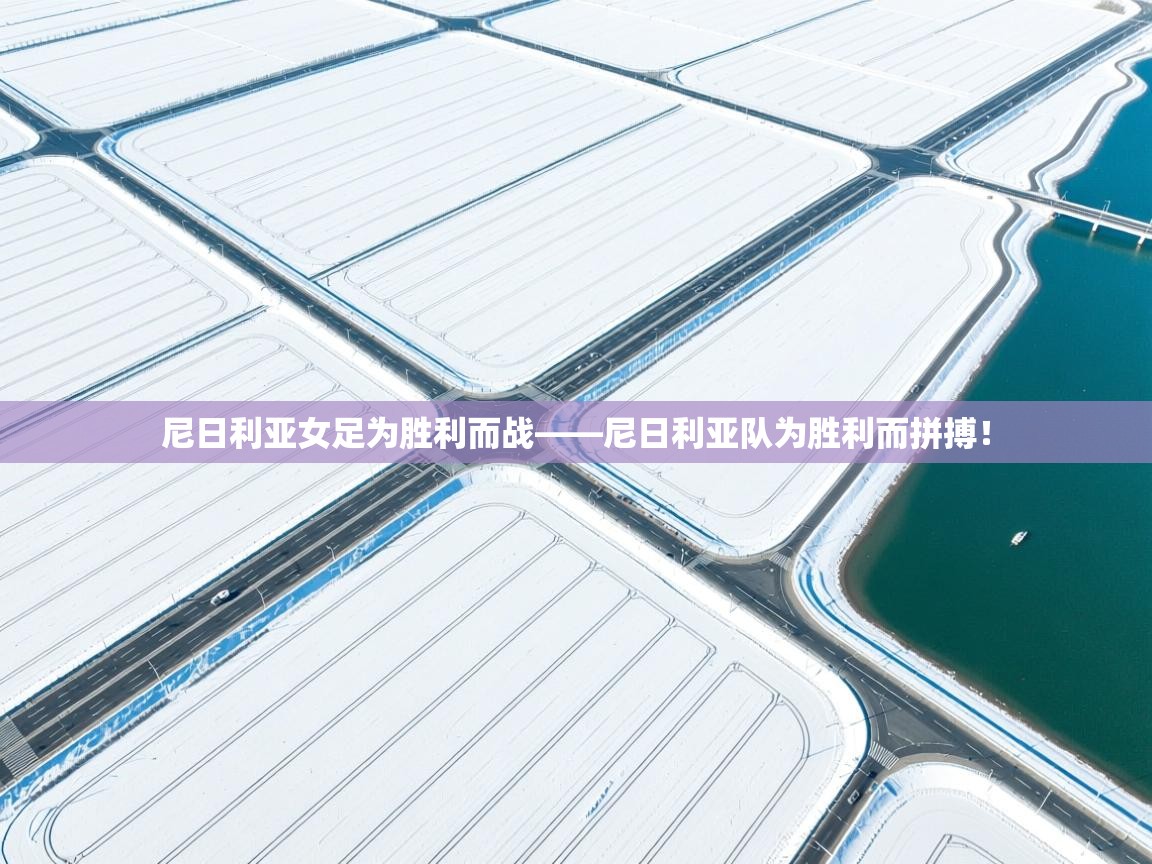 尼日利亚女足为胜利而战——尼日利亚队为胜利而拼搏!