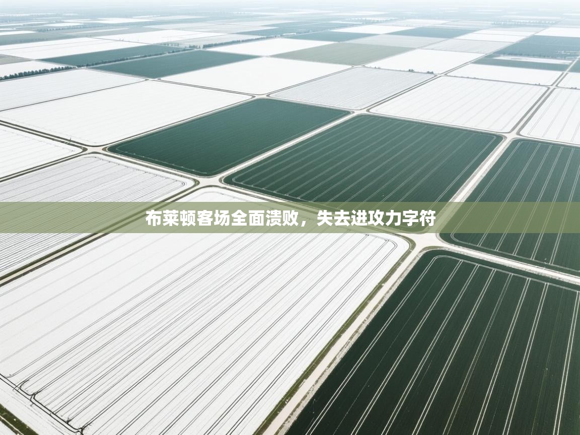 布莱顿客场全面溃败,失去进攻力字符