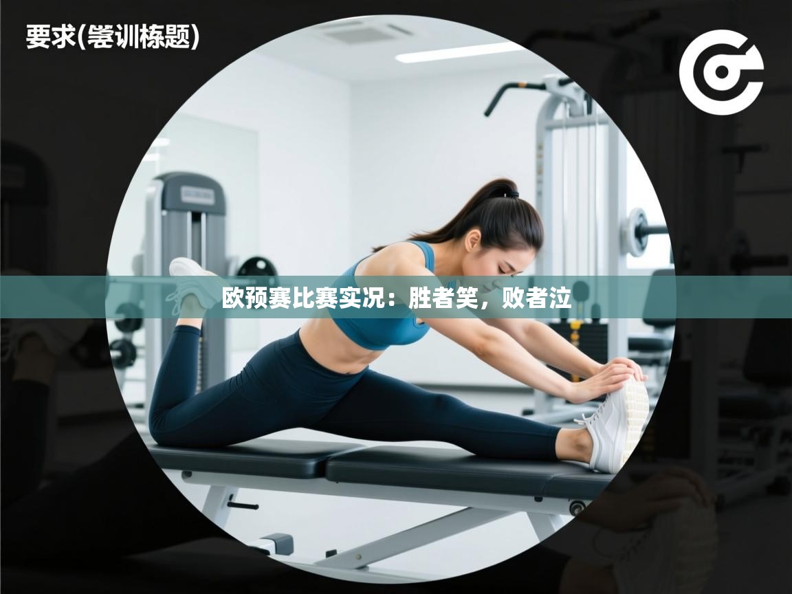 欧预赛比赛实况：胜者笑，败者泣