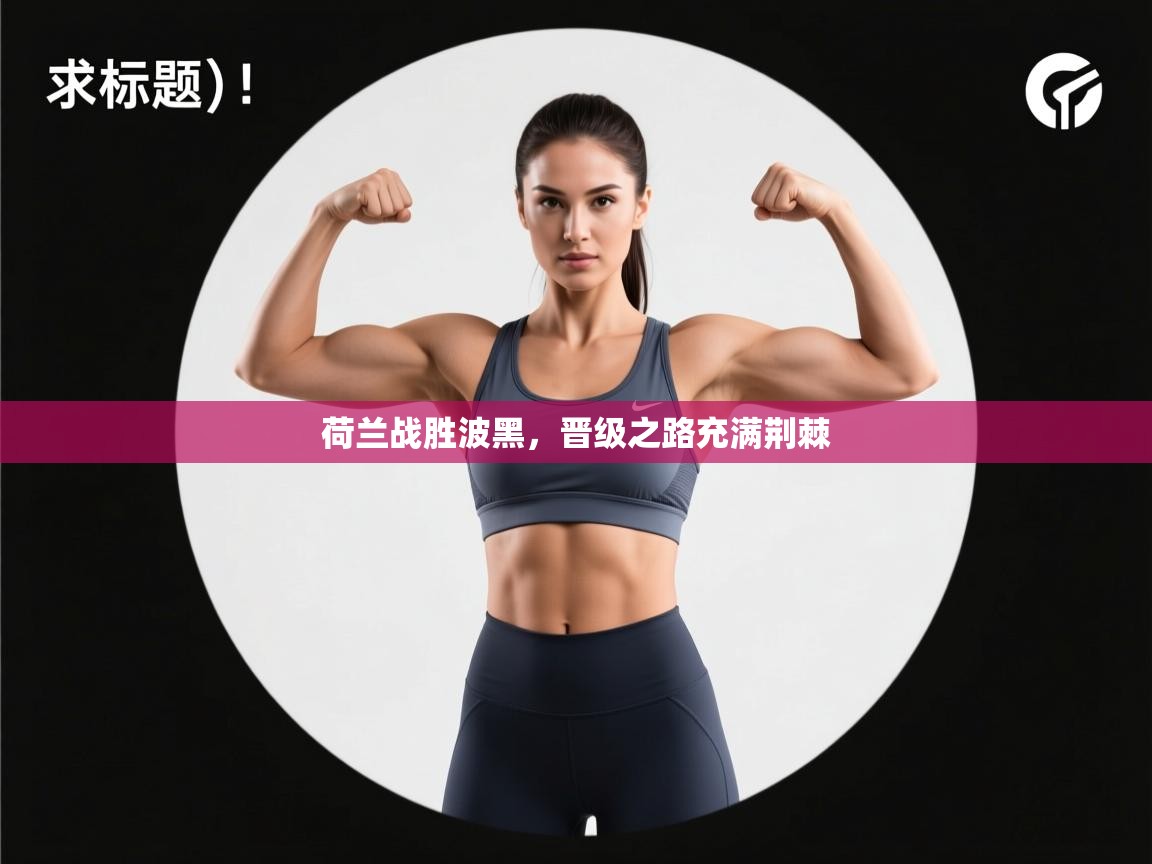 荷兰战胜波黑，晋级之路充满荆棘  第1张