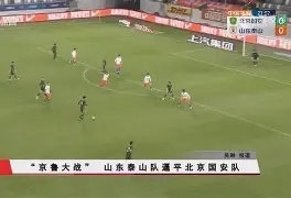 半岛体育官网安全-战斗民族强势突围，沙尔克再添一城的简单介绍