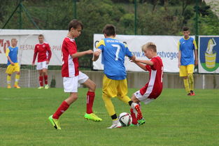 半岛体育入口-上港坐镇主场对阵申花，高额期待，上海上港与上海申花比赛直播